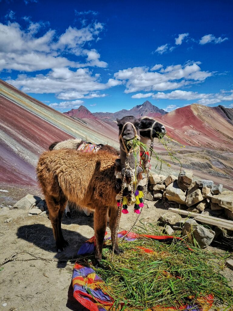 vinicunca